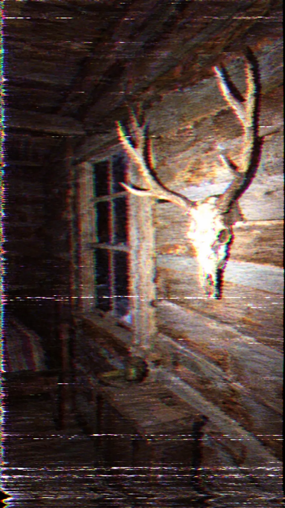 Camcorder footage from inside a log cabin
